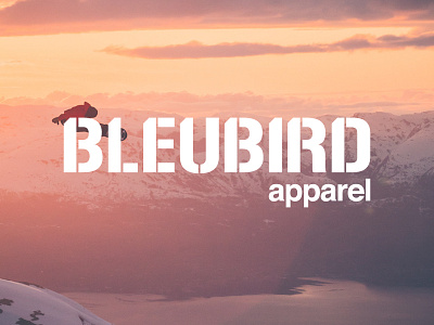 Bleubird Apparel Wordmark brandingski brandingsnowboarding clothing branding design designlogo logo logosnowboarding logowordmark outdoor clothing wordmark