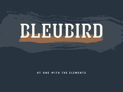 Bleubird - unused concept brand brand identity logo snowboarding stencil surfing type typeface wordmark