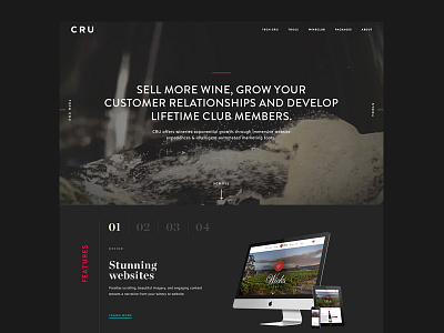CRU Website digital design graphic design interactive design ui uiux ux visual design web design