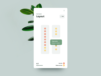 Growapp. Garden layout