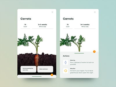 Growapp. Plant