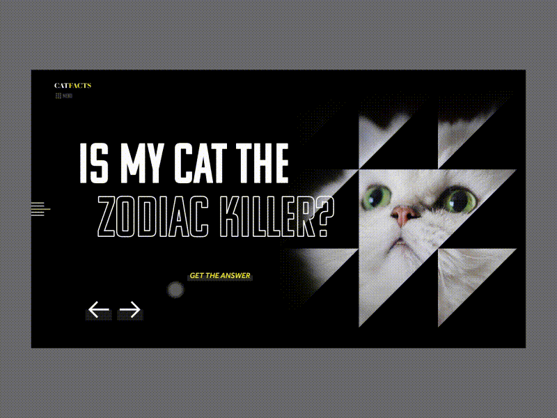 Catfacts Landing Page animals animation black and gold black and yellow black background cats landing page slider slider animation slideshow transition ux design web design website design