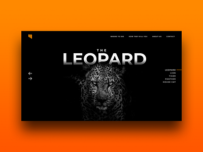 The Leopard UX Design animal slider animals black ux black website dark background dark website jungle leopard slider slideshow ux design web design website design