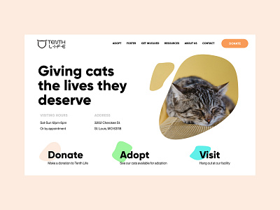 Cat Adoption Foundation Web Design adoption blobs cats clean donate landing page nonprofits pets shape ux design web design website design