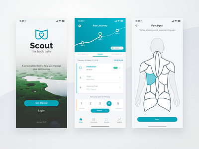 Scout chronic pain interaction ios mobile tracking ui ux