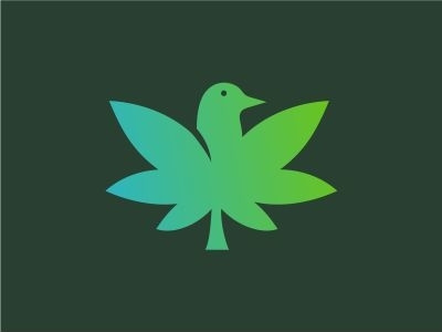 Bird and Cannabis Logo Concept