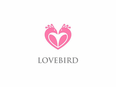 Love Bird