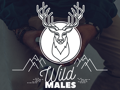 Wild Males line logo minimal vector