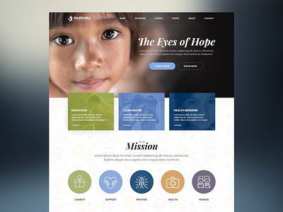 Pandora Foundation adobe xd adobexd charity clean foundation modernism ui user experience ux web design web development website