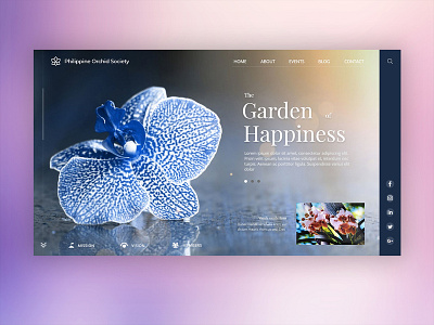 Philippine Orchid Society adobe xd ui user experience user interface ux web design web development webpage website