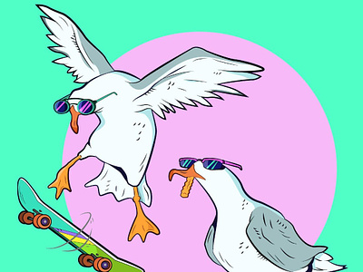 Tony Squawks illustration illustration art seagulls skate skateboarding vector