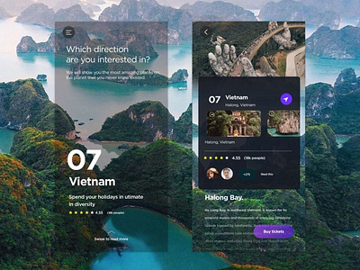 Travel app by Bogdan Falin for QClay on Dribbble