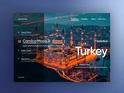 Travel service - Mobile App app app design mockup tour tourism travel traveling turkey ui uiux ux video web webdesign website