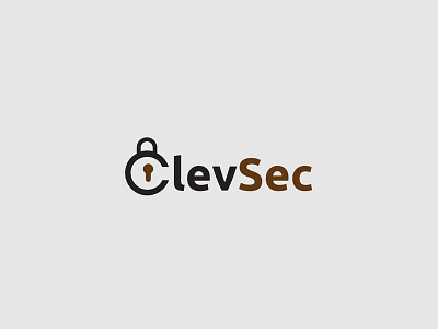 Clevsec brand creative design logo mark minimal modern