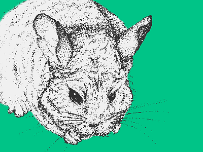 Long-Tailed Chinchilla animals color design illustration pointillism