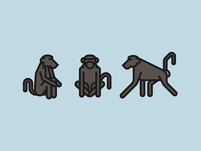 Baboons