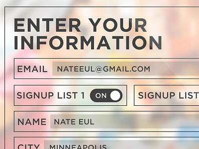 Enter Your Information forms gui interface ui