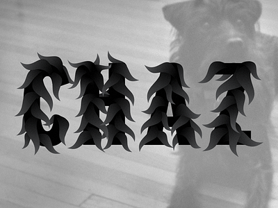 Chaz Sans dog font fur san serif type typography woof