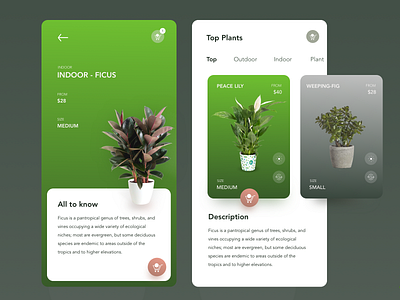 Mobile App - Tree Plant app app design colors contrast creative explore gradient indoor layout mobile plant theme tree ui