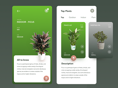 Mobile App - Tree Plant