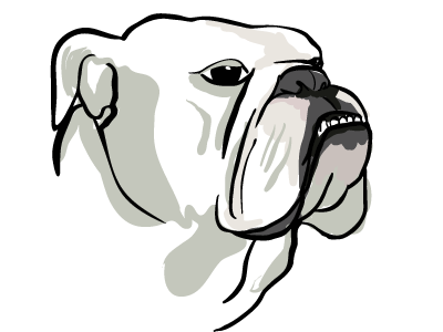 Bully Dog bulldog illustration