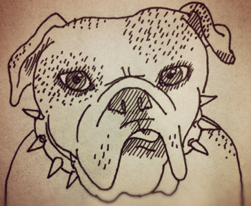 The Gregarious Bully bulldog dog ink sketch