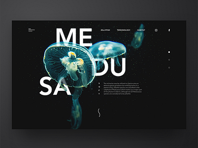 MEDUSA Landing page