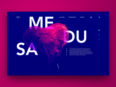 MEDUSA Landing page blue dark header inspiration jellyfish landing page medusa pink sea ui