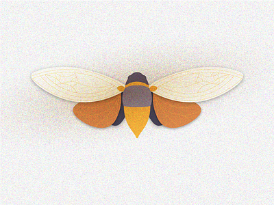 Cicada bug cicada illustration insect vector wings