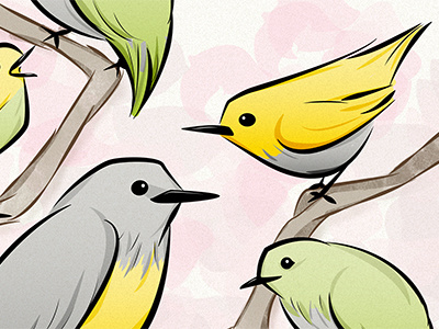 Songbird Illustration Detail birds illustration