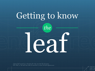 Getting to know the leaf Poster