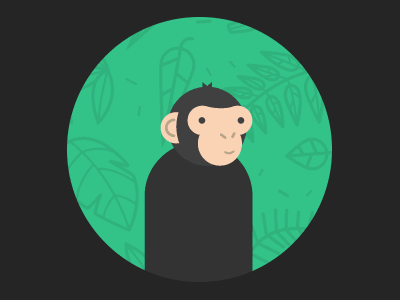 Chimp Loop chimp education gif illustration motion