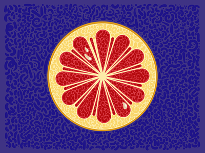 02. Grapefruit 2d art design grapefruit illustration vector