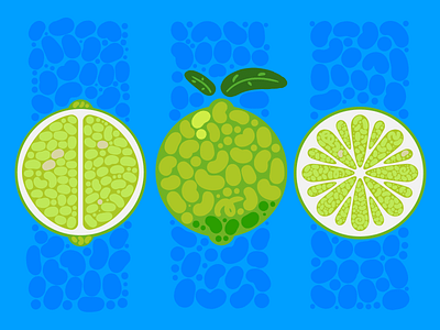 05. Green Lemon