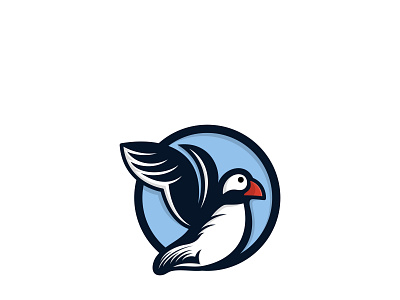 Puffin Bird Logo Design abstract animal art background beautiful bird birds blue book business concept creative design dove eagle emblem feather fire flight fly