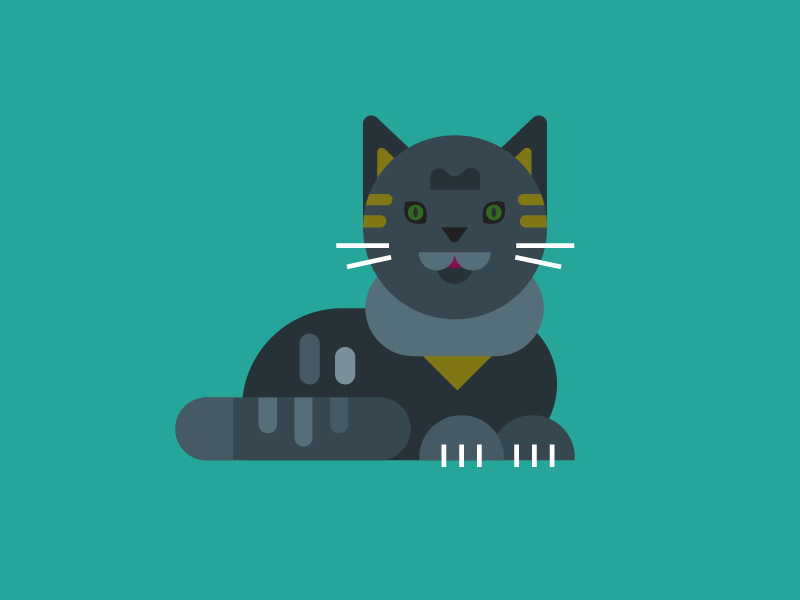 Cat By Bulat Zalyaev On Dribbble