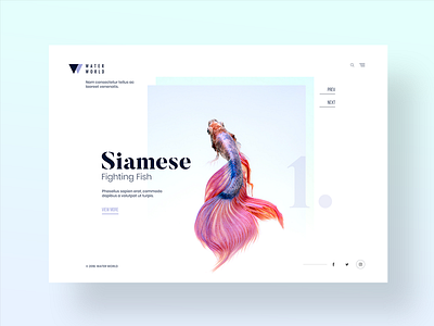 Aquarium website design concept clean design fish flat logo typography ui ux water web