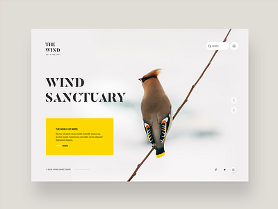 Birds sanctuary website's homepage concept bird clean design flat light logo typography ui ux web white