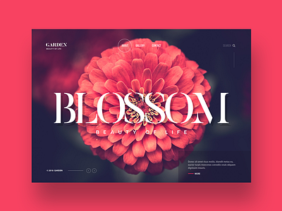 Garden website design concept clean dark design flower gradient landing page logo red typography ui ux web