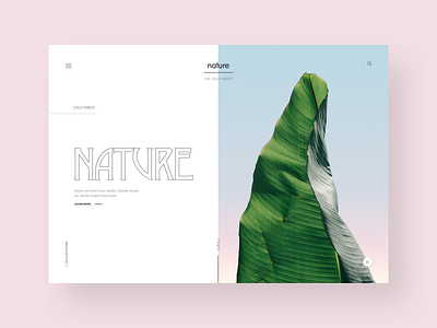 Nature's website design concept clean design flat illustration landing page landingpage soft colors ui web