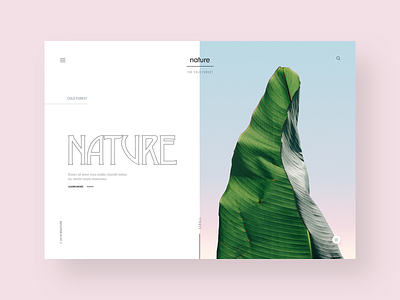 Nature's website design concept