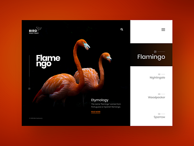 Bird Sanctuary : Website design concept bird clean creative dark design landing page minimal typography ui web