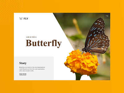 A beautiful butterfly animation animated animation animation after effects clean landing page typography video web