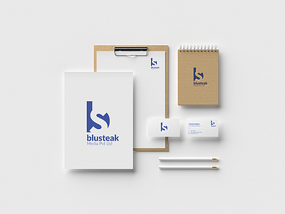 Blusteak Media Logo Branding b branding bs logo logo design mockup