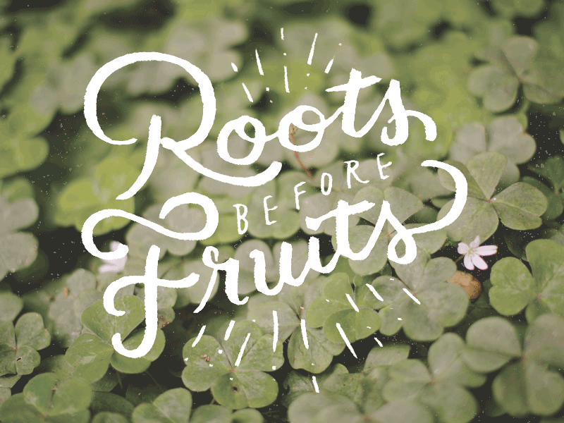 roots b4 froots hand drawn hand lettering lettering script type typography
