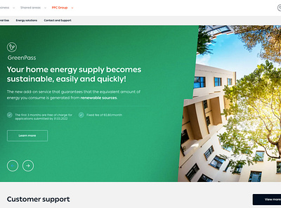 PPC (Public Power Company) Ltd. interaction design ui design ux ux design web design