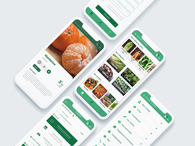 UX UI Mobile App Concept Fruits and Vegetables Seller app design fruits mobile seller ui ux vegetables