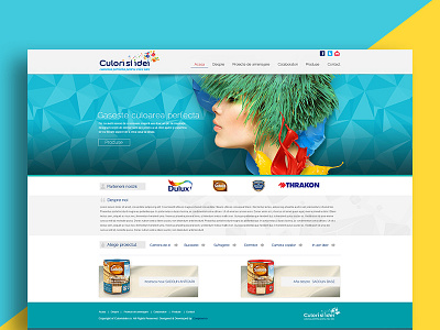 Website Template culorisiidei.ro colour paint templade website