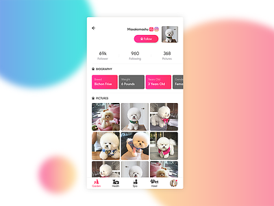 Profile - Social App for Pet Lover (WIP) mobile app pet social