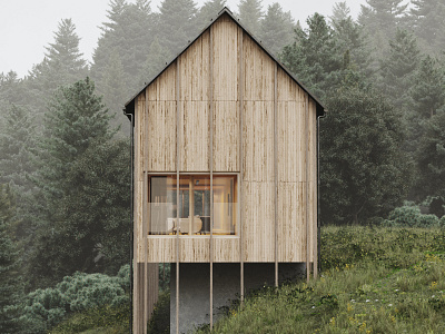 Haus Am Stürcherwald in Austria // CGI 3d 3dsmax cgi coronarender exterior exterior design itoo rendering